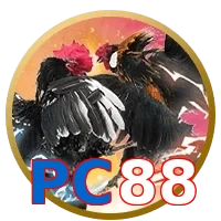 PC88